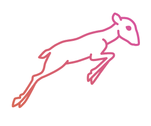 logo.png